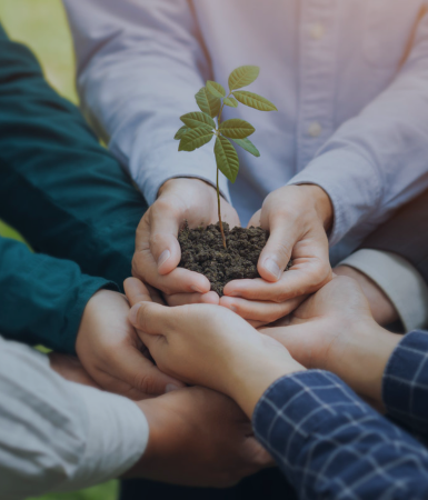 APL生态合作同伴打算